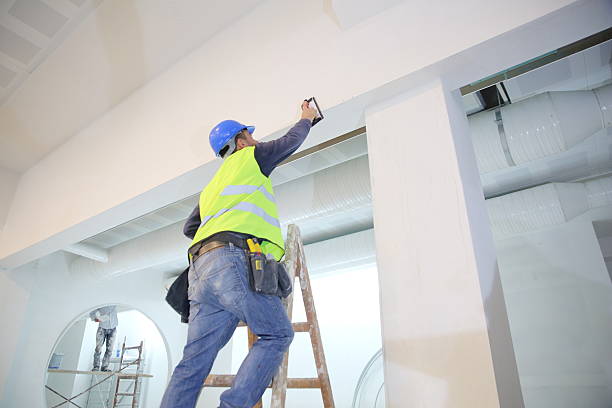 Mold Odor Removal Services in Vega, TX